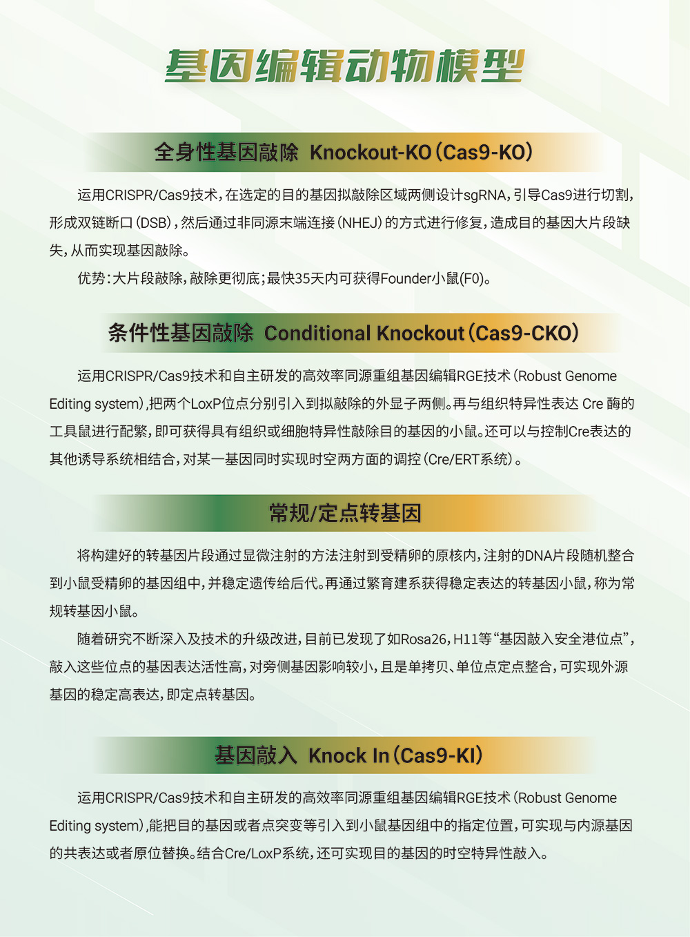 2023 开学季 基因编辑动物模型(图2)